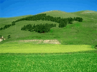 Tutela Ambiente Montano