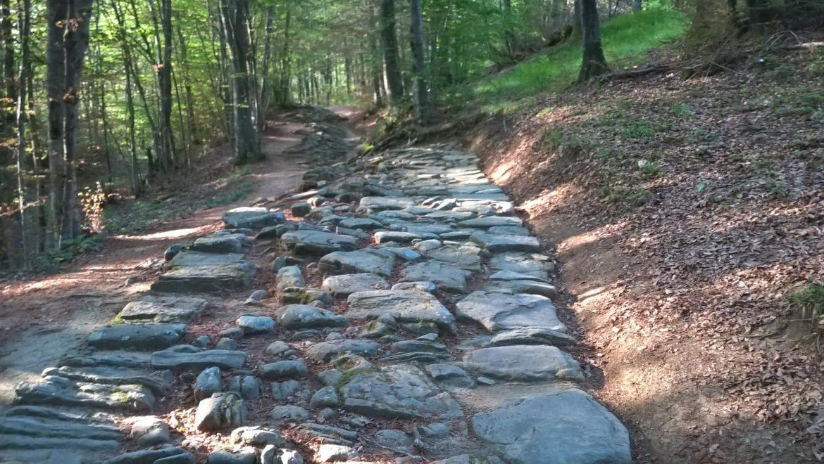 “La Via degli Dei”