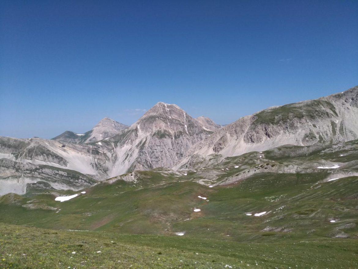 La fioritura di Campo Pericoli 07 Luglio 2019