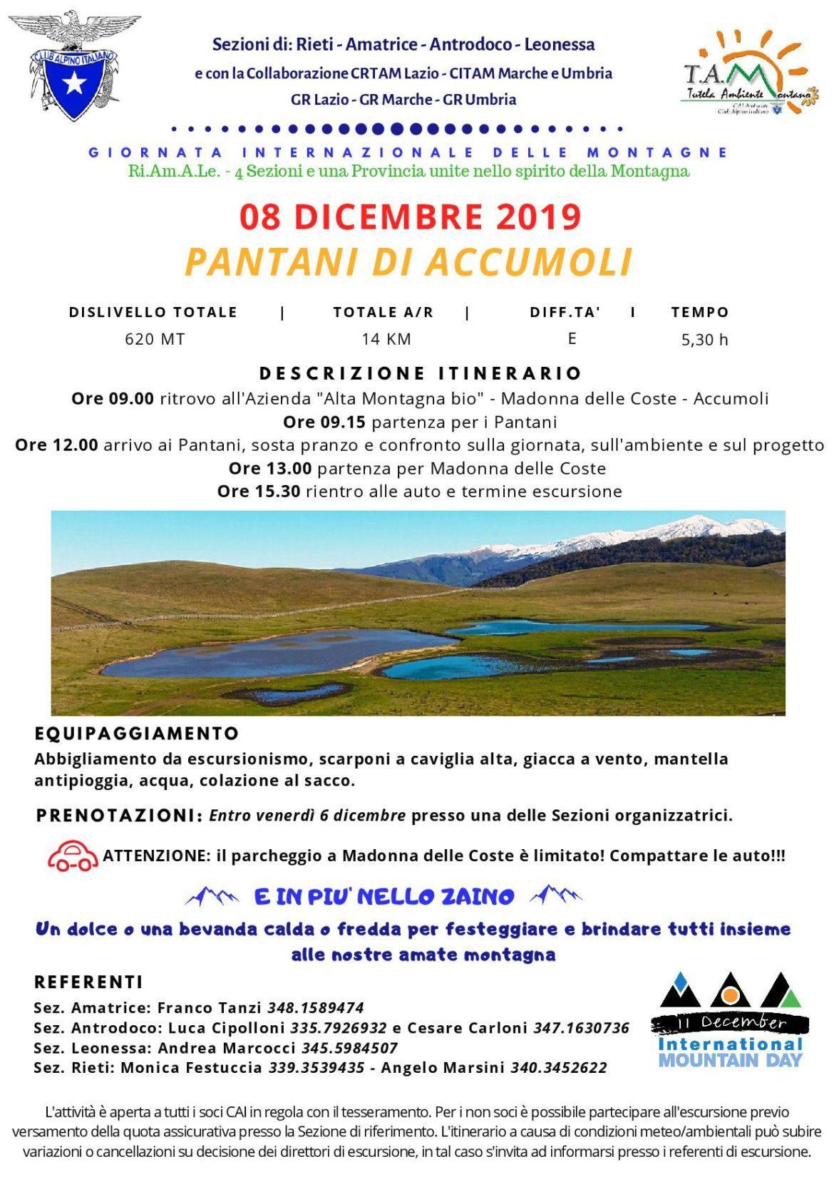 Domenica 8 Dicembre 2019