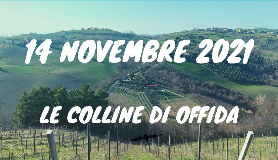 Camminata d’Autunno