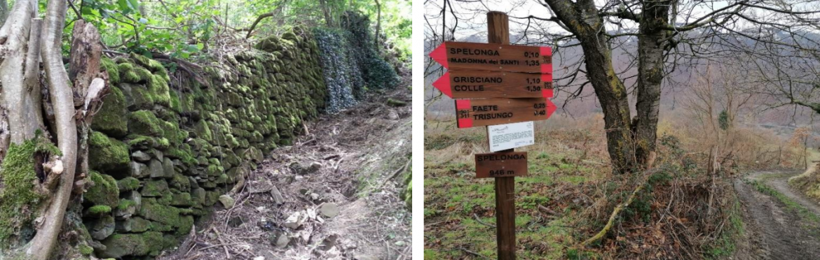 Domenica 15 maggio 2022 – Anello di Spelonga