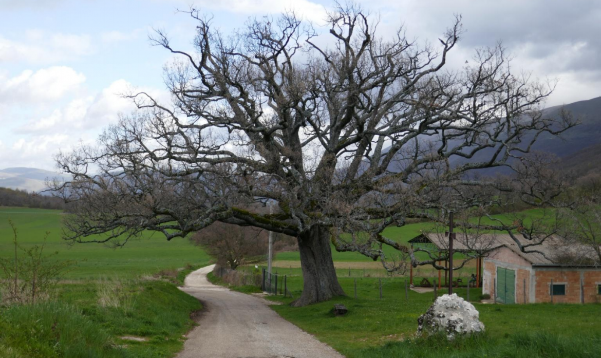 Sabato 4 giugno 2022 – Monte Serra da Nottoria