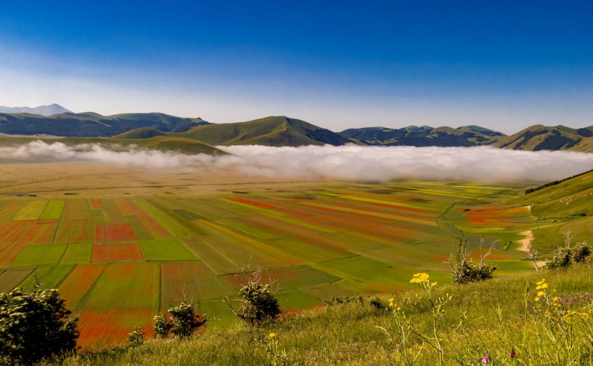 Domenica 24 luglio 2022 – Anello alto dei piani di Castelluccio – Cicloescursione
