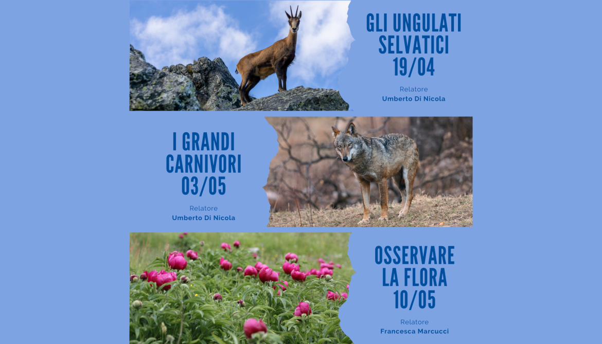 Incontri Culturali 2024 – Flora e Fauna dell’Appennino Centrale
