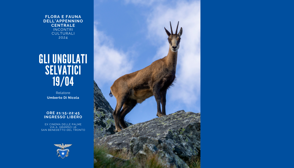 Flora e Fauna dell’Appennino Centrale – GLI UNGULATI SELVATICI