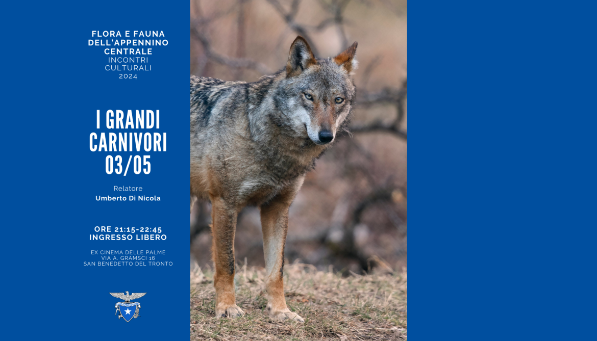 Flora e Fauna dell’Appennino Centrale – I GRANDI CARNIVORI