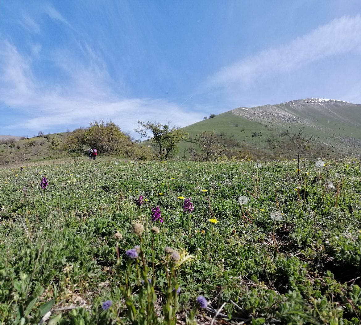 ⚡⚠️⚠️ RINVIATA! causa maltempo ⚠️⚠️⚡