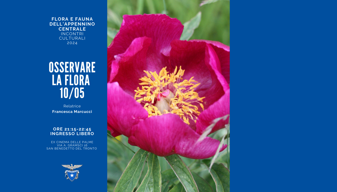 Flora e Fauna dell’Appennino Centrale – OSSERVARE LA FLORA
