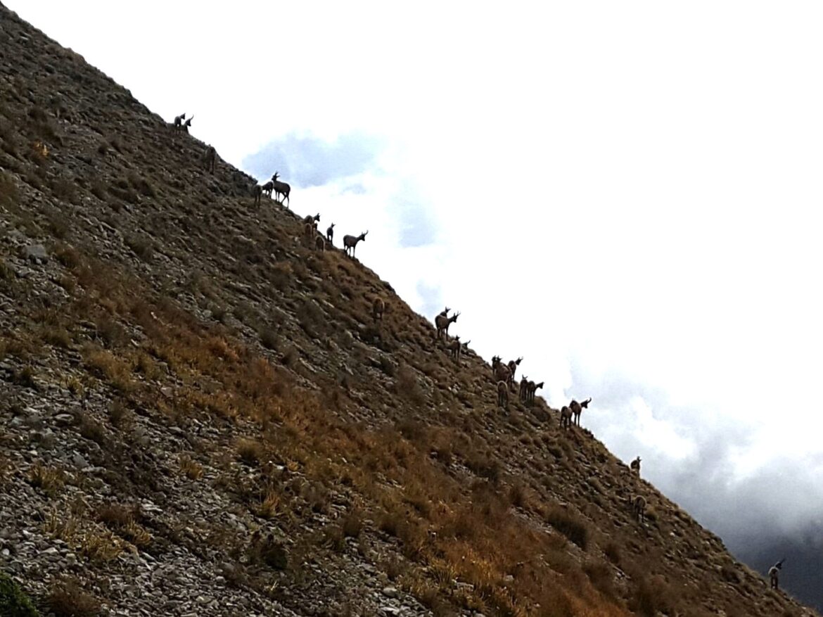 Domenica 15 giugno 2025 – Anello del Monte Bove