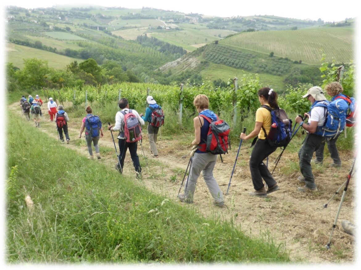 📣📣📣 APERTURA STRAORDINARIA DELLE ISCRIZIONI FINO A VENERDI 11 LUGLIO ‼️ Da San Benedetto a Offida