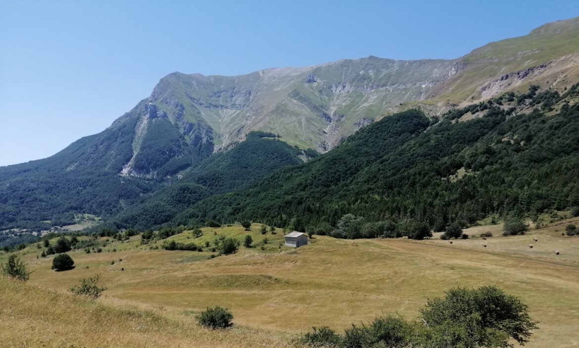 Domenica 5 ottobre 2025 – Monte Vettore da Colle di Montegallo: un anello sulla vetta più alta dei Monti Sibillini