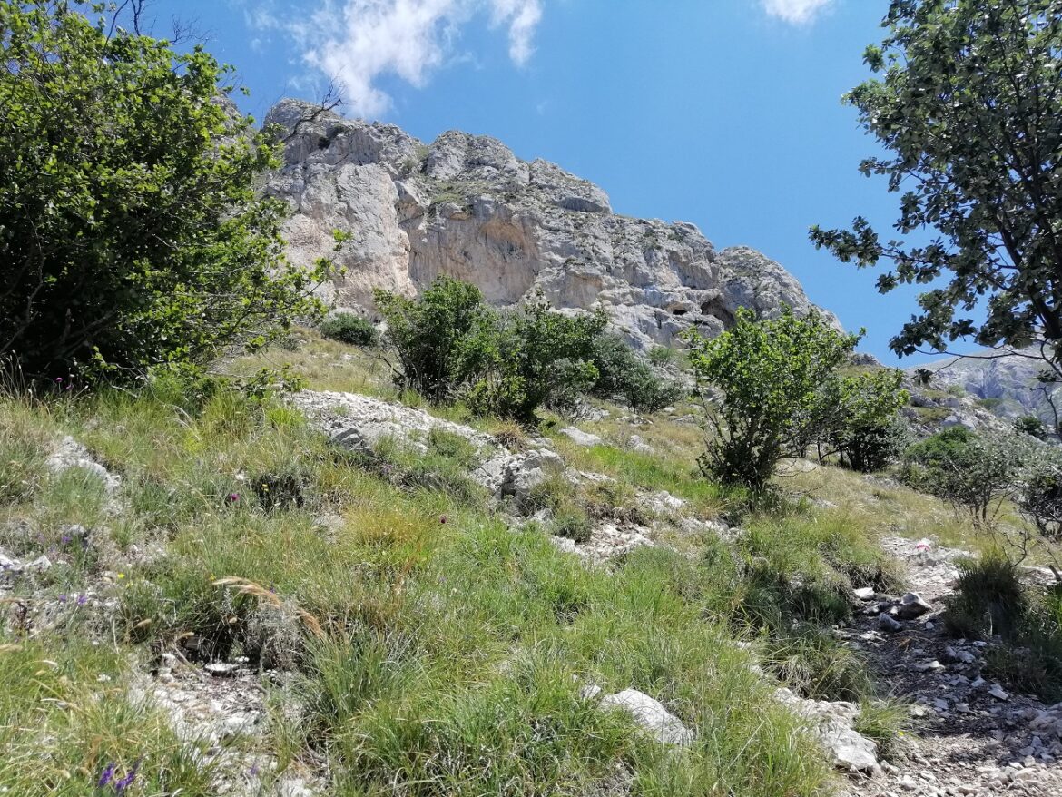 Domenica 26 luglio 2026 – Grotta di San Benedetto