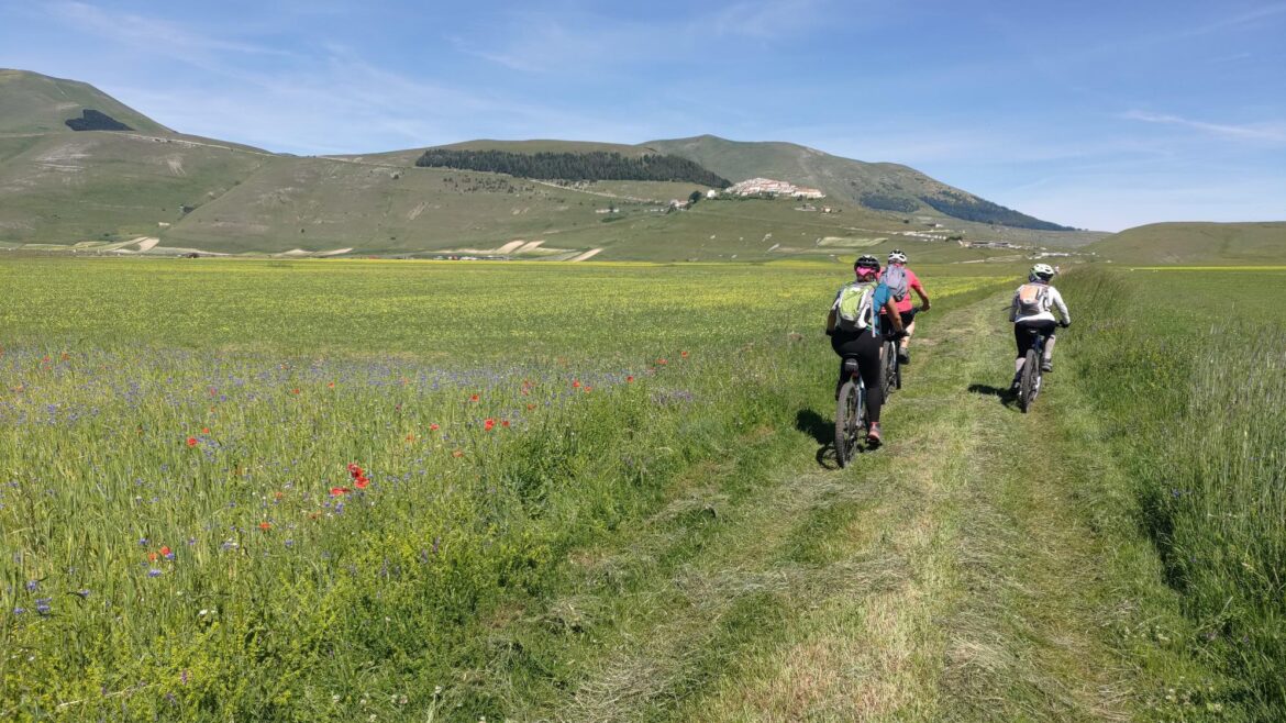 Domenica 9 agosto 2026 – Piani di Castelluccio – Giro Basso *CICLO*